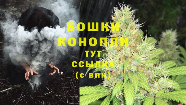 ГАЛЛЮЦИНОГЕННЫЕ ГРИБЫ Балабаново