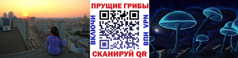 Псилоцибиновые грибы Magic Shrooms  Купить  Курильск 